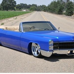 Meet your Posher, Jeb